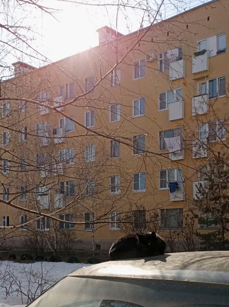 В Рязанской области ожидается 10 градусов тепла